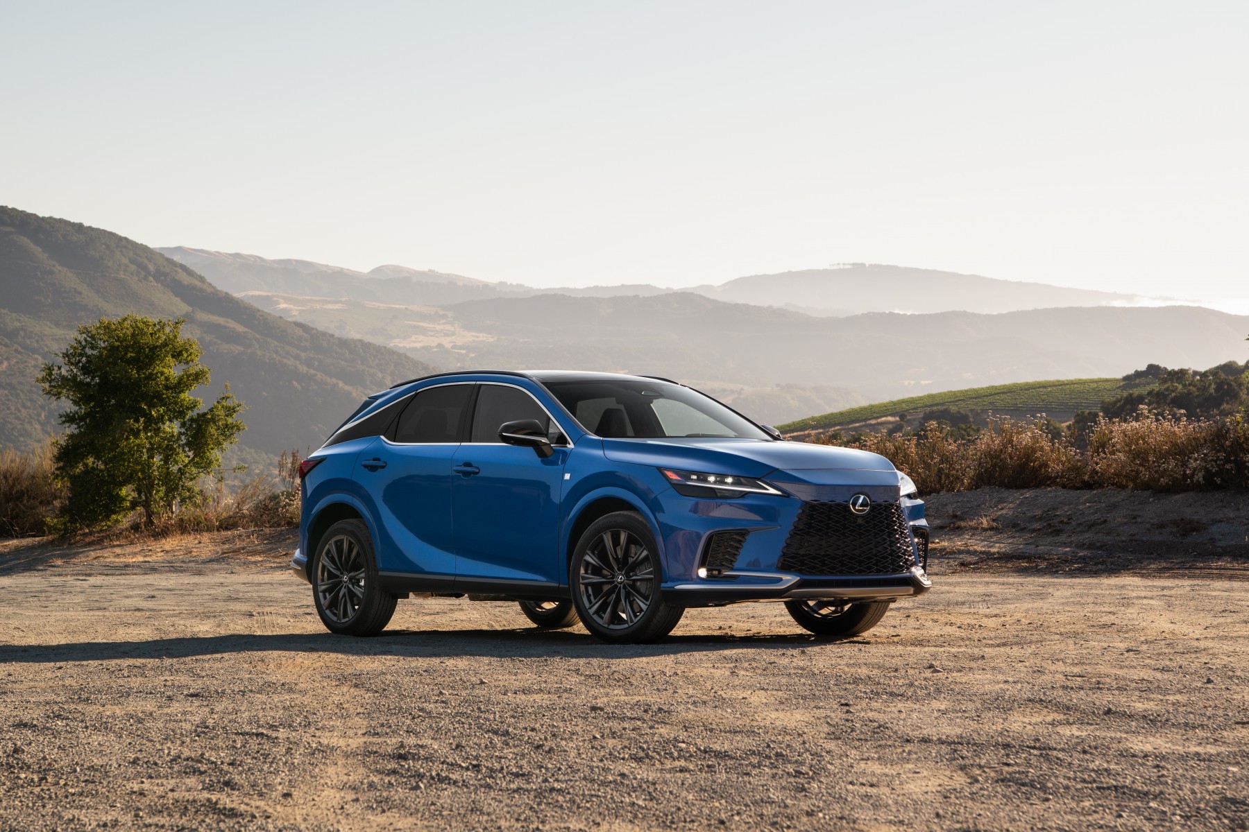 Lexus Türkiye’de 10. Yılını Güçlenerek Kutluyor